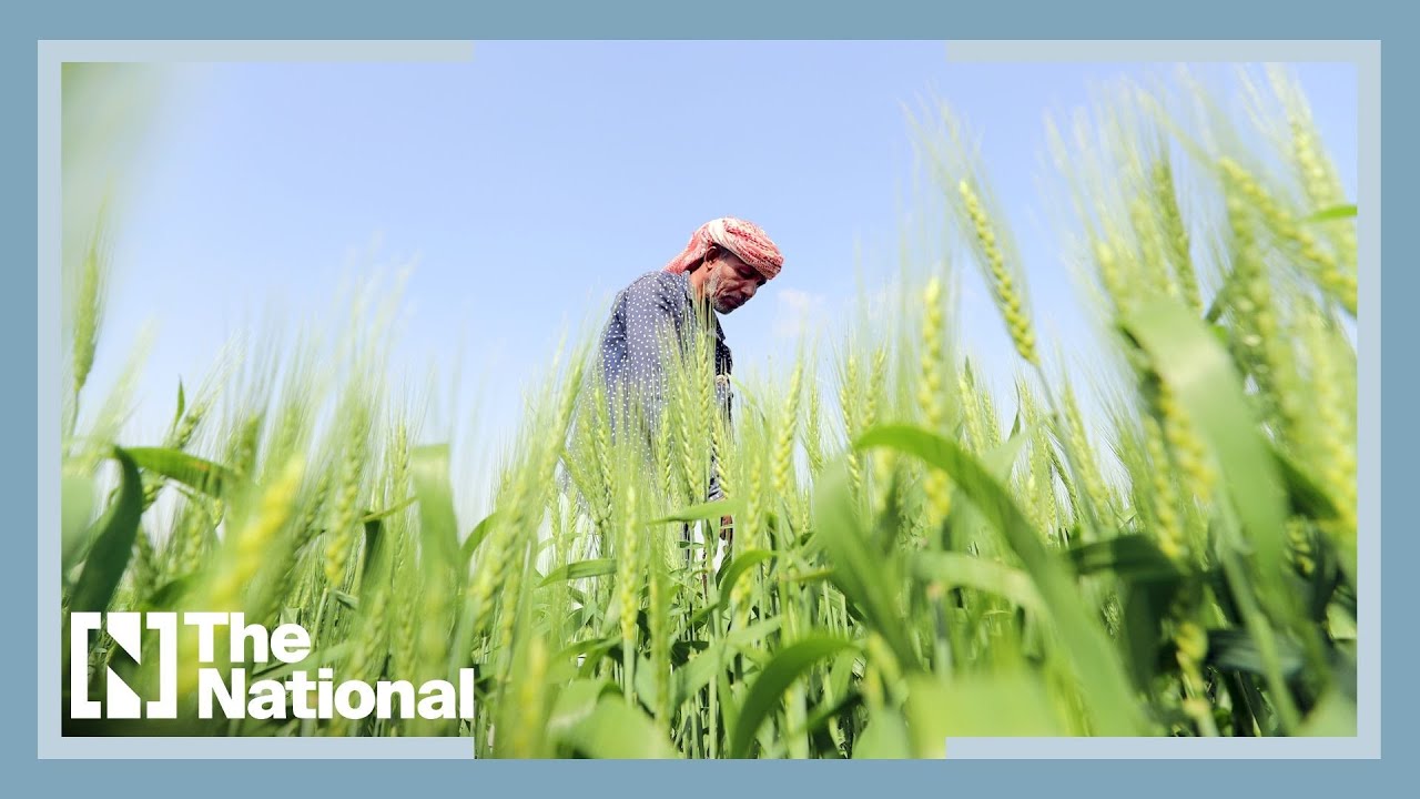 What crops are grown in the UAE? Tipseri