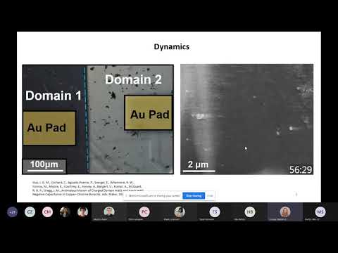 LCN Lunchtime Seminar -  Dr Michele Conroy