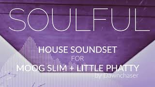 Video thumbnail for Soulful House Soundset for Moog Slim & Little Phatty -Deep/Prog/Slap/Tech/Electro House Patches 2021 by Kulshan Studios
