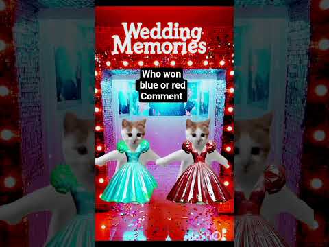 #cat #short #funny #catvideo#dance #catdance #sangeet