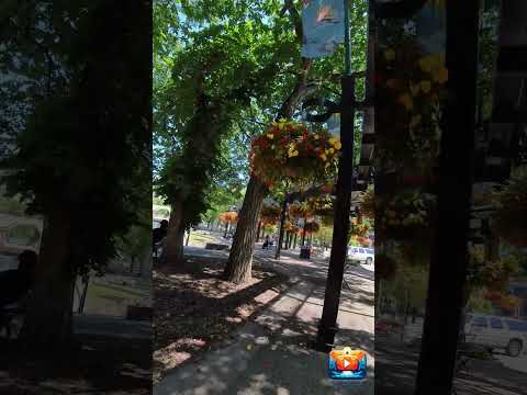 #Calgary #OlympicPlazaPark #Peaceful #flowers  #tourism #yyc #indigenous #nature #colours #downtown