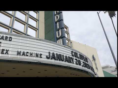 Coldplay Brandi Carlile Brittany Howard Jonas Brothers Concerts 2020 Hollywood Palladium LA CA