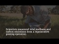 Carbon Negative Grazing | News from a Michigan State University Study