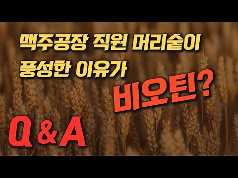 모발이식 대신 비오틴으로 탈모 극복하기?