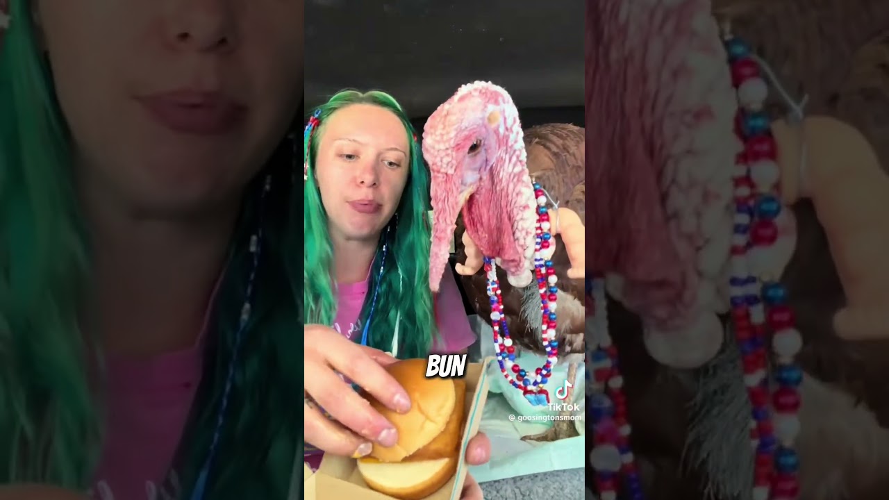 Bro what did I just watch…