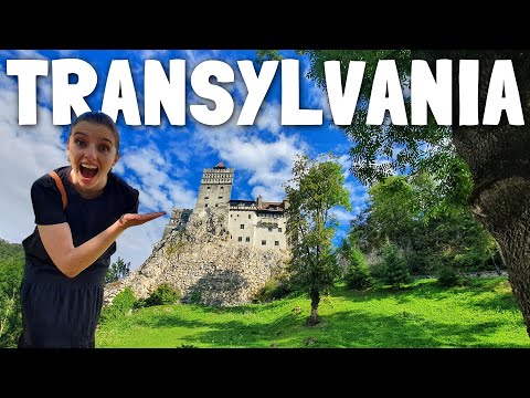 🇷🇴 BRAN CASTLE & LIBEARTY BEAR SANCTUARY (Transylvania, Romania)