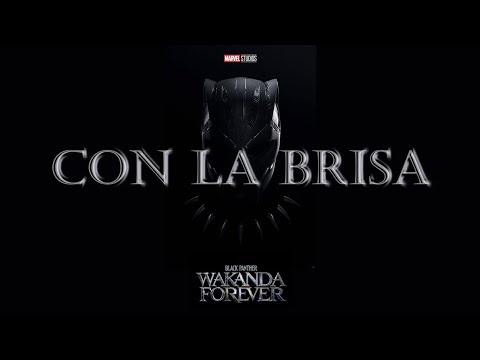 Con La Brisa - Black Panther: Wakanda Forever | by Foudeqush & Ludwig Göransson