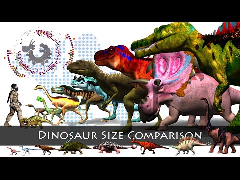 Dinosaurs Size Comparison