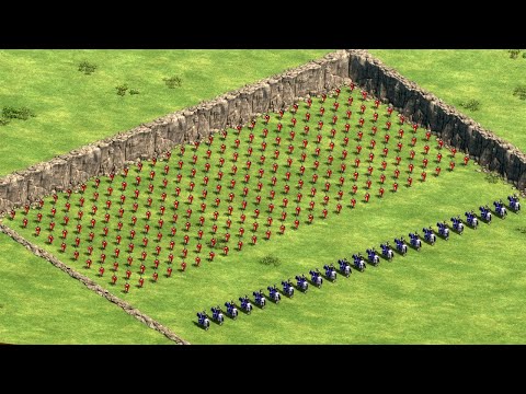 250 Elite Skirmishers vs 23 Paladins 😱 - AOE 2 DE