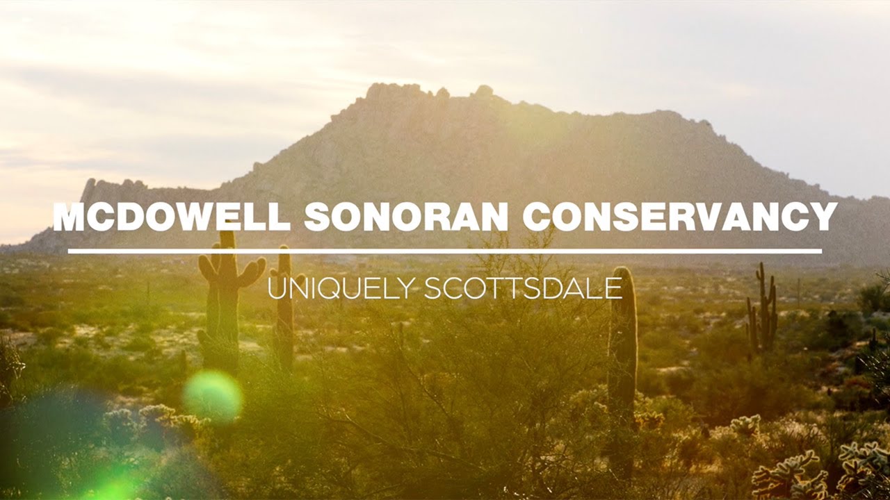 McDowell Sonoran Conservancy | Uniquely Scottsdale