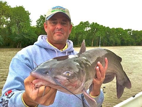 Here is the Best Catfish Rods