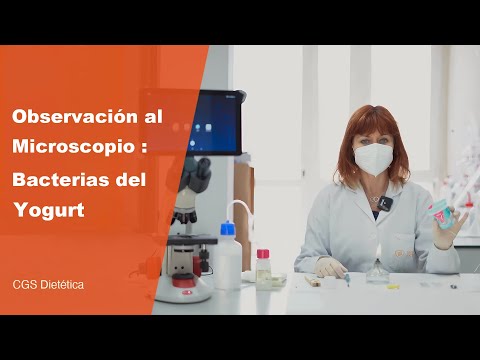 Observación al microscopio bacterias del yogurt