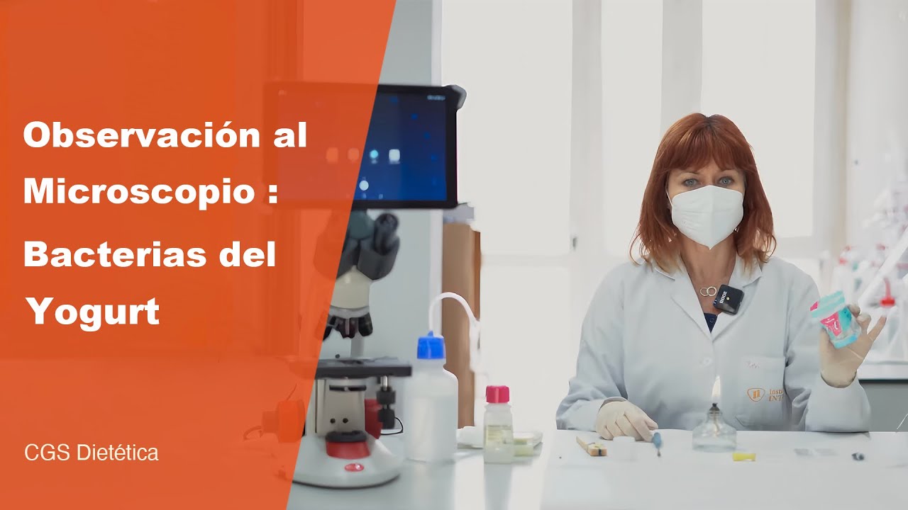 Observación al microscopio bacterias del yogurt