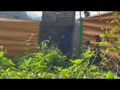 大武小熊Tawmele 出籠