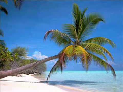 Jean-François Maurice - Maeva (1985)