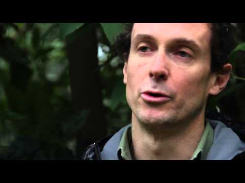 Run the Rann- India's most spectacular footrace