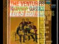The Ventures - Mushiku live 1980 - Japanese Only!.flv
