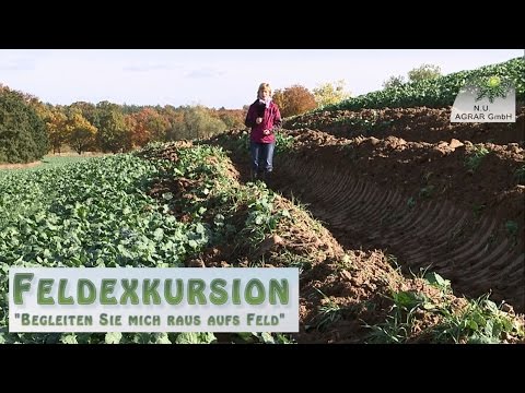 28. Feldexkursion: Wie war das letzte Vegetationsjahr?