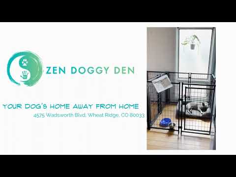 Welcome to Zen Doggy Den! | Wheat Ridge Dog Board & Train Facility