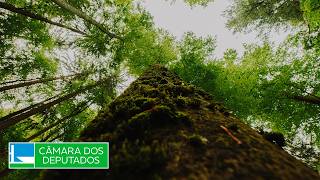  Discussão e votação de propostas legislativas - 08/04/2026 10:00