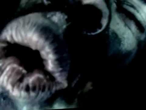 download lagu mp3 mp4 Aiguis Comme Une Lame, download lagu Aiguis Comme Une Lame gratis, unduh video klip Aiguis Comme Une Lame
