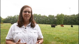 How to Control Pasture Weeds