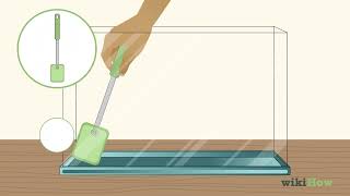 How to Clean an Old Fish Tank