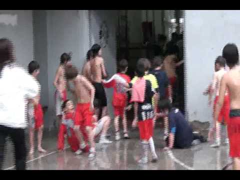 Festejo 8  fecha 36 .flv