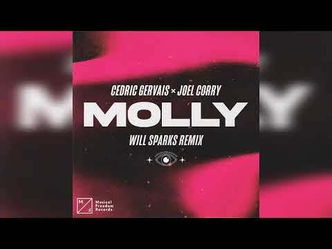 Cedric Gervais x Joel Corry - MOLLY (Will Sparks Extended Remix)