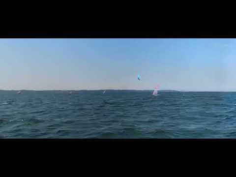 King of the bay Qba (6