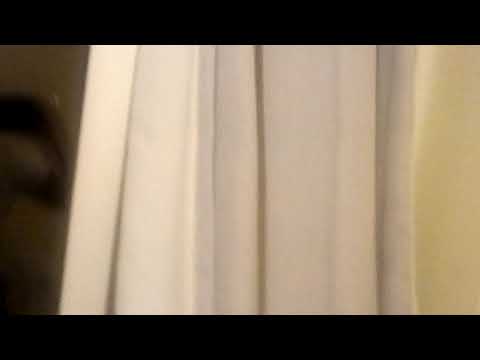 The Annoying Moth-Like Bug