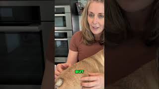 When to Switch Your Dog from Puppy to Adult Food + Feeding Guide