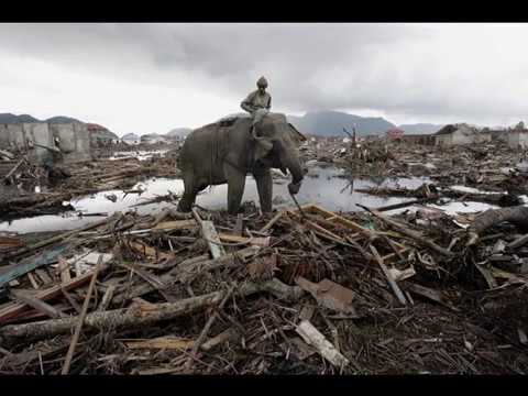 Fréko, tonton david, stomy bugsy, alibi montana, manu key, etc...