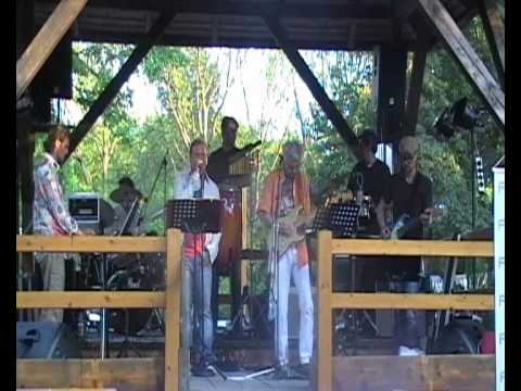 MJM &die Austria Pur Band   Olles ned woa