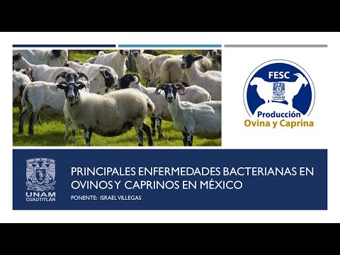 , title : 'Principales enfermedades bacterianas en ovinos y caprinos en México'