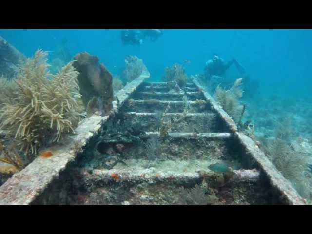 Diving in Key Largo with Rainbow Reef Dive Center