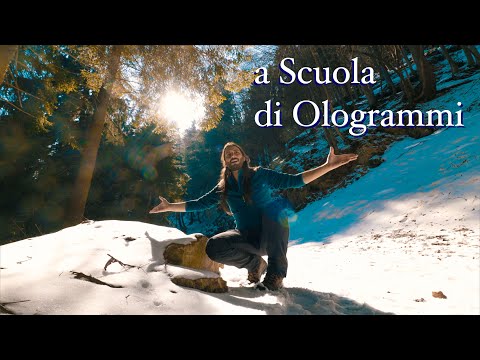 Come sono gli Ologrammi ! Andrea Zaupa, La Scienza degli Ologrammi