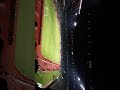 Persebaya Vs Pss Sleman 09 Desember 2017