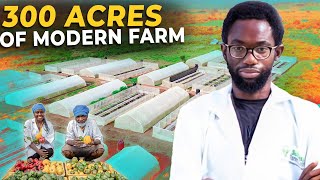He Built a farm that's making young people rich in Nigeria
