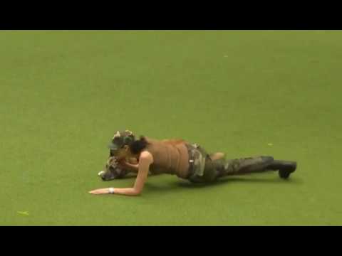 Inteligencia como ama  los perros a sus dueños