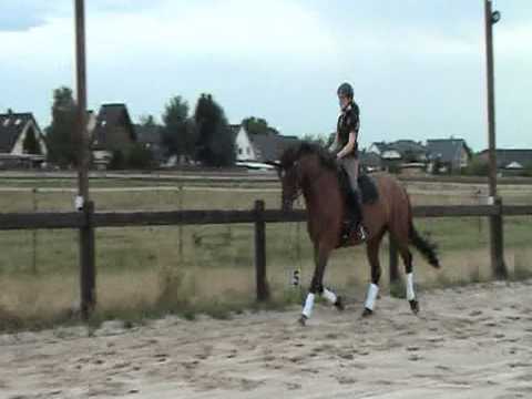 Royal Victoria von Rosenkönig