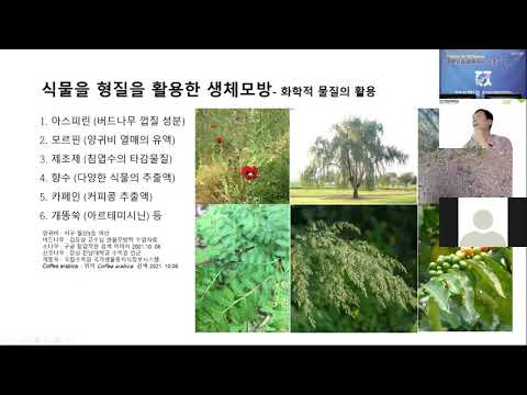 자연이 준 힌트: 동물에서 영감을 얻은 의약품들