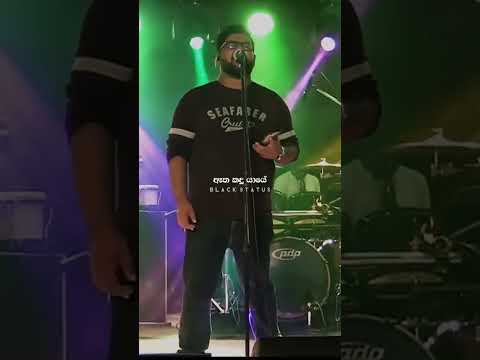 පාට දේදුනු සේදිලා | Pata Dedunu Sedila | Radeesh Vendebona #shorts #foyoupage #sinhalalyrics #fypシ