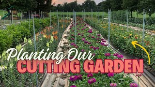Planting a Quarter Acre of Cut Flowers for Our Summer Garden!