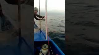 preview picture of video 'rezeki nelayan laut mukah sarawak.. Terbaik..'