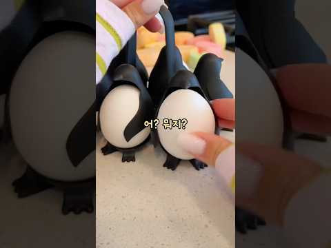 이언니뭐야??