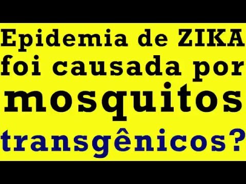 Será que é verdade? - Epidemia de Zika foi causada por mosquitos transgênicos?