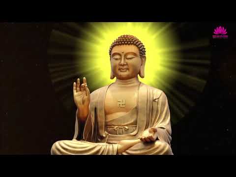 Dáng người mãi mãi - Võ Hạ Trâm