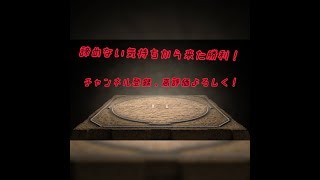 小柄な子供が大柄な子供に勝つ瞬間！