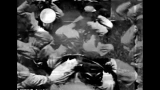 Video Mechanická Dualita - Ostrov Sv Heleny - 2008
